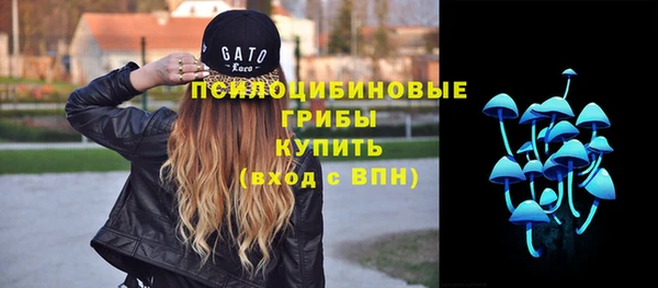 Альфа ПВП Алексеевка