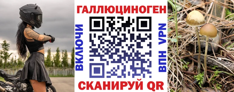 Псилоцибиновые грибы прущие грибы  Тобольск 